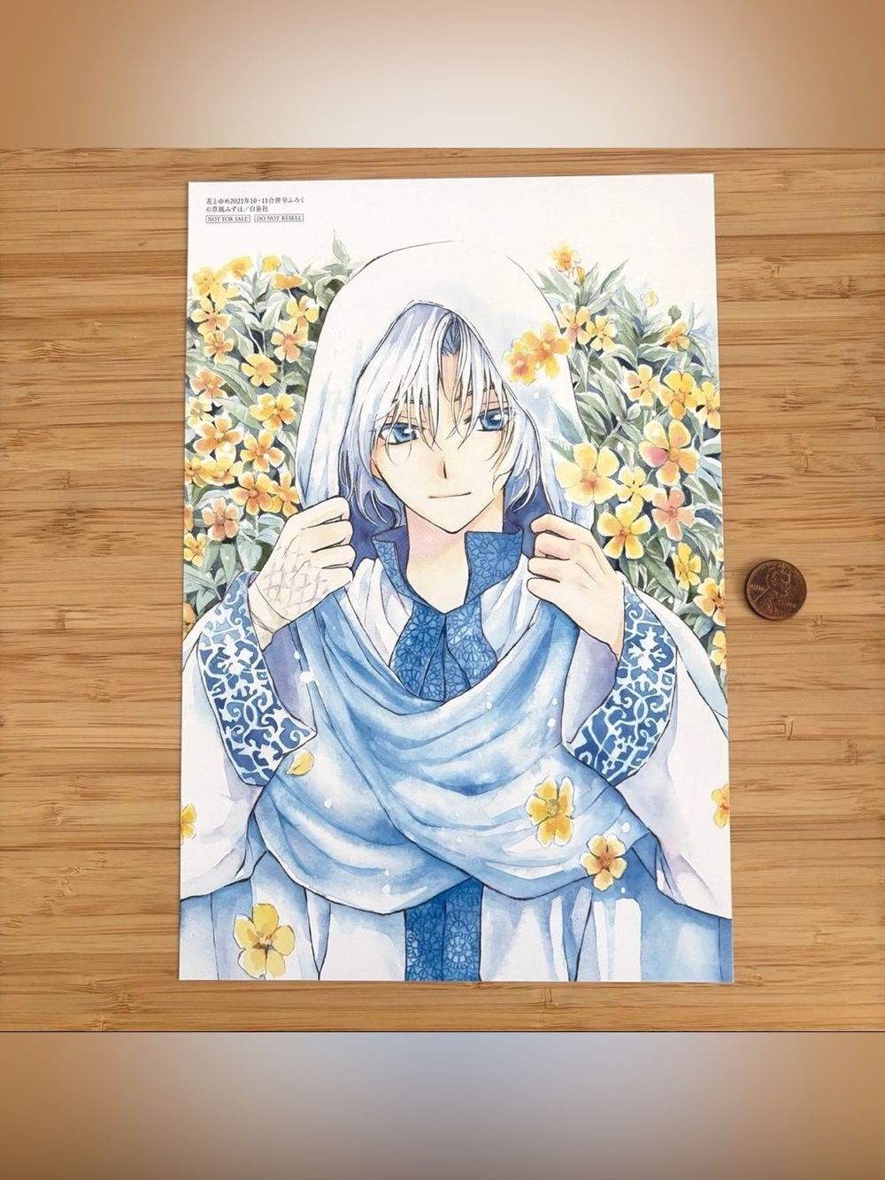 Rare Yona of the dawn poster print